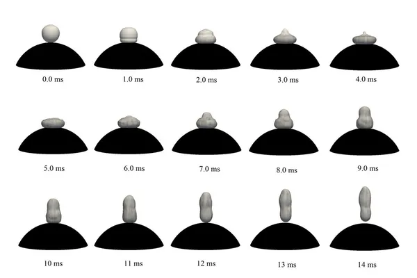 Droplet impact and evaporation on hot surfaces
