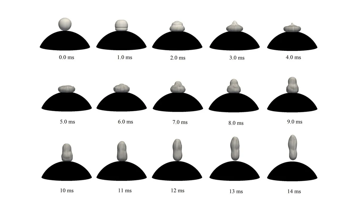 Droplet impact and evaporation on hot surfaces