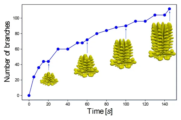 Phase-field modelling of dendrites in lithium-metal batteries